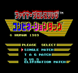Fire Pro Wrestling - Combination Tag (Japan)