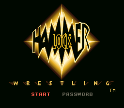 Hammer Lock Wrestling (USA)
