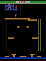 Donkey Kong Junior (Coleco) [h1]