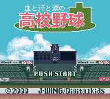 Chi to Ase to Namida no Koukou Yakyuu (Japan)