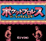 Pocket Pro Wrestling - Perfect Wrestler (Japan)