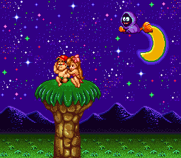 Super Adventure Island (USA)
