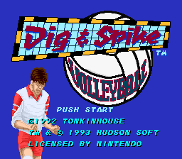 Dig & Spike Volleyball (USA)